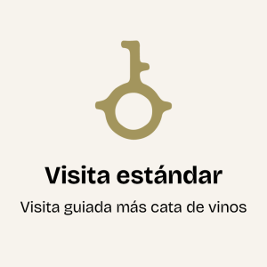 Visita estándar