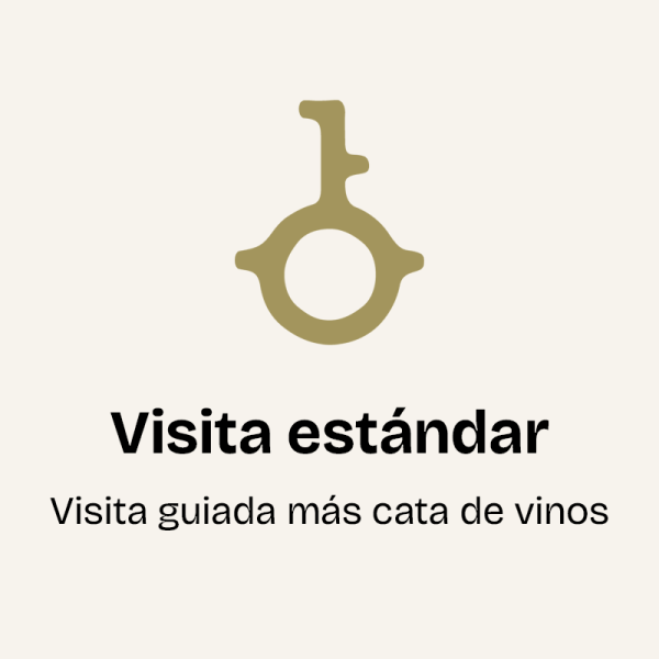 Visita estándar