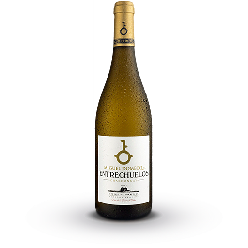 Entrechuelos Chardonnay vinos blancos de la Tierra de Cádiz