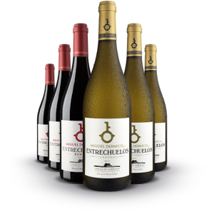 Pack Chardonnay & Roble vinos de la Tierra de Cádiz