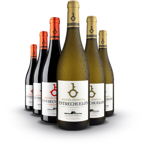 pack chardonnay tercer año vinos de la tierra de cádiz