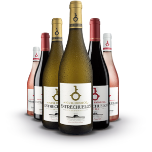 Pack Entrechuelos vinos de la Tierra de Cádiz