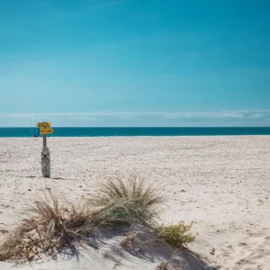 Playa Punta de Paloma en Tarifa