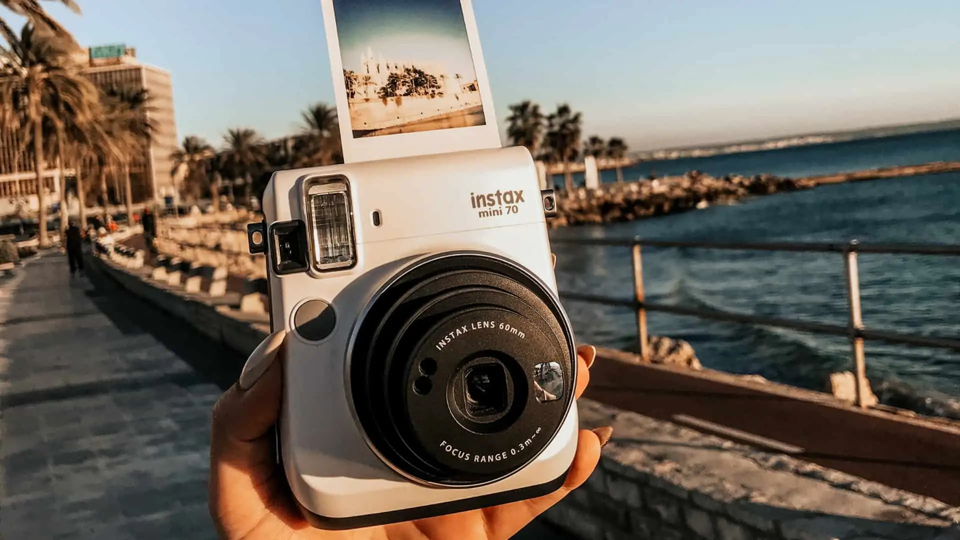 Inmortaliza la experiencia del avistamiento de cetáceos en Tarifa