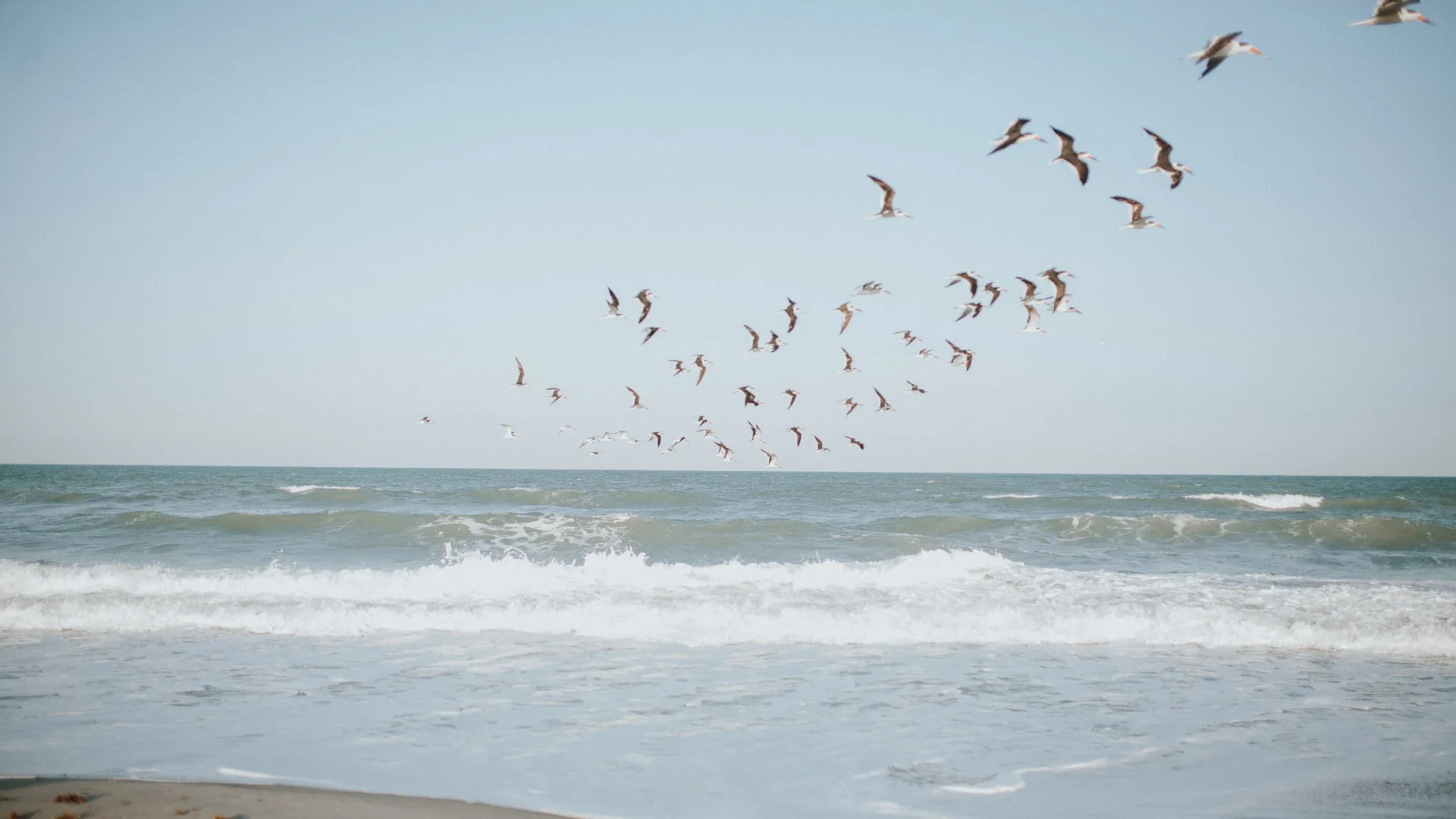 Pasea por las playas de Tarifa