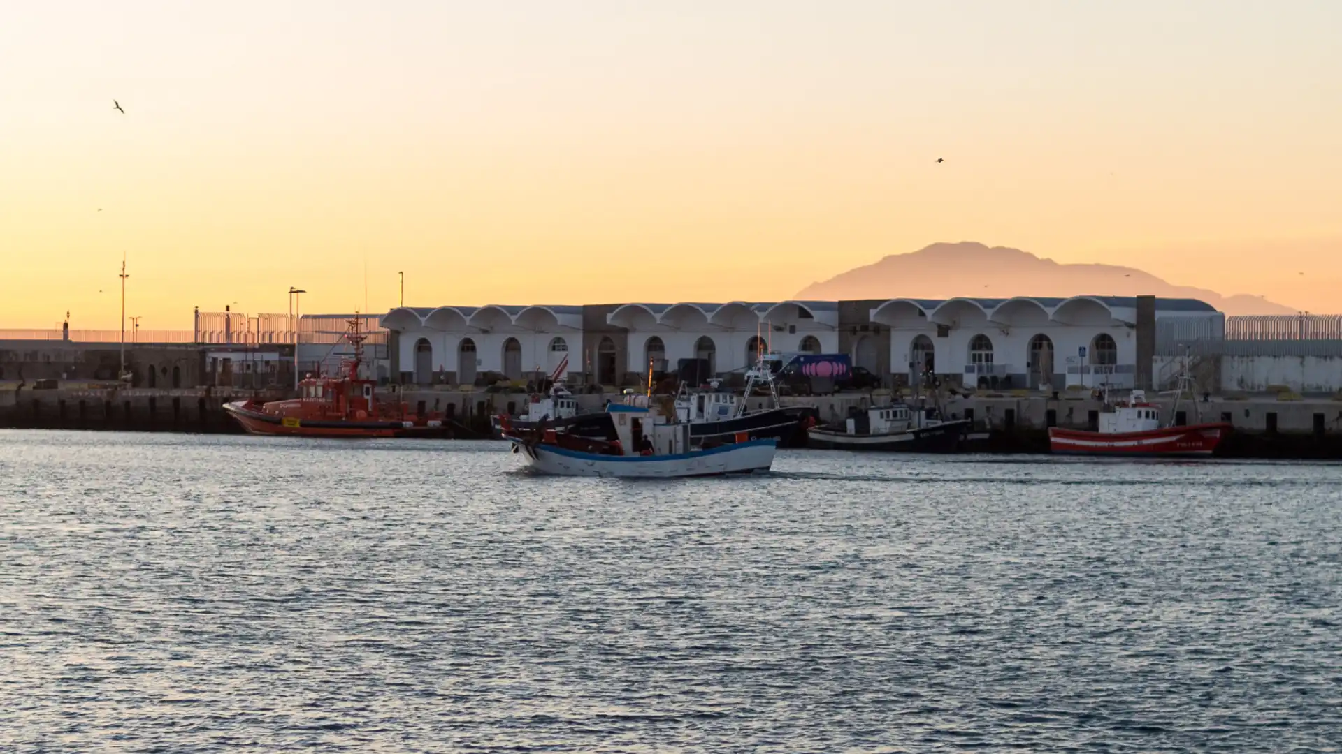 Discover the beaches of Tarifa