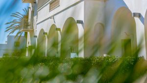 apartamentos con piscina y jardín