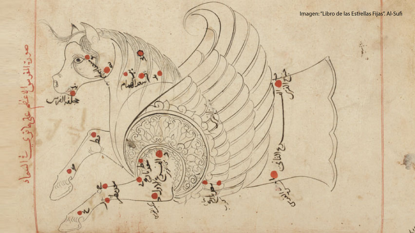 exposición laura pintado tarifa