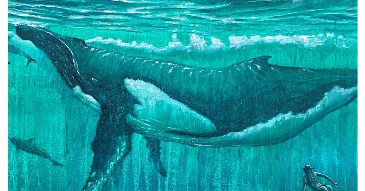 exposición en tarifa